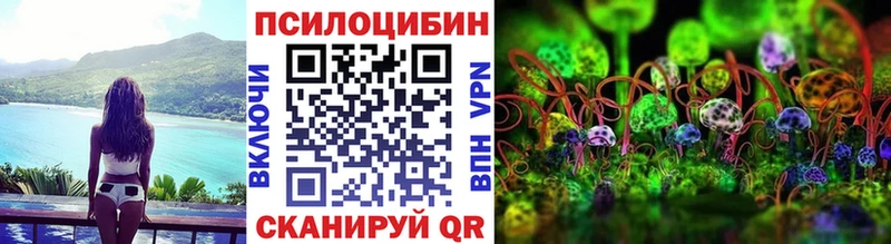 Псилоцибиновые грибы мицелий  купить наркотики цена  Протвино 